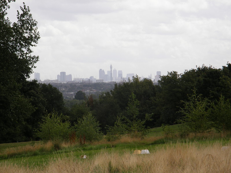 The City from Horsenden Hill