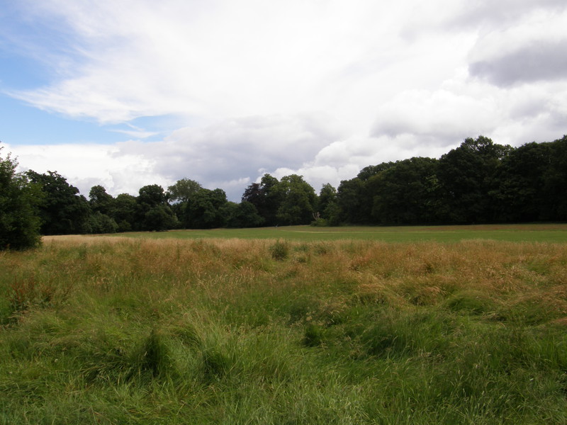 Tooting Bec Common