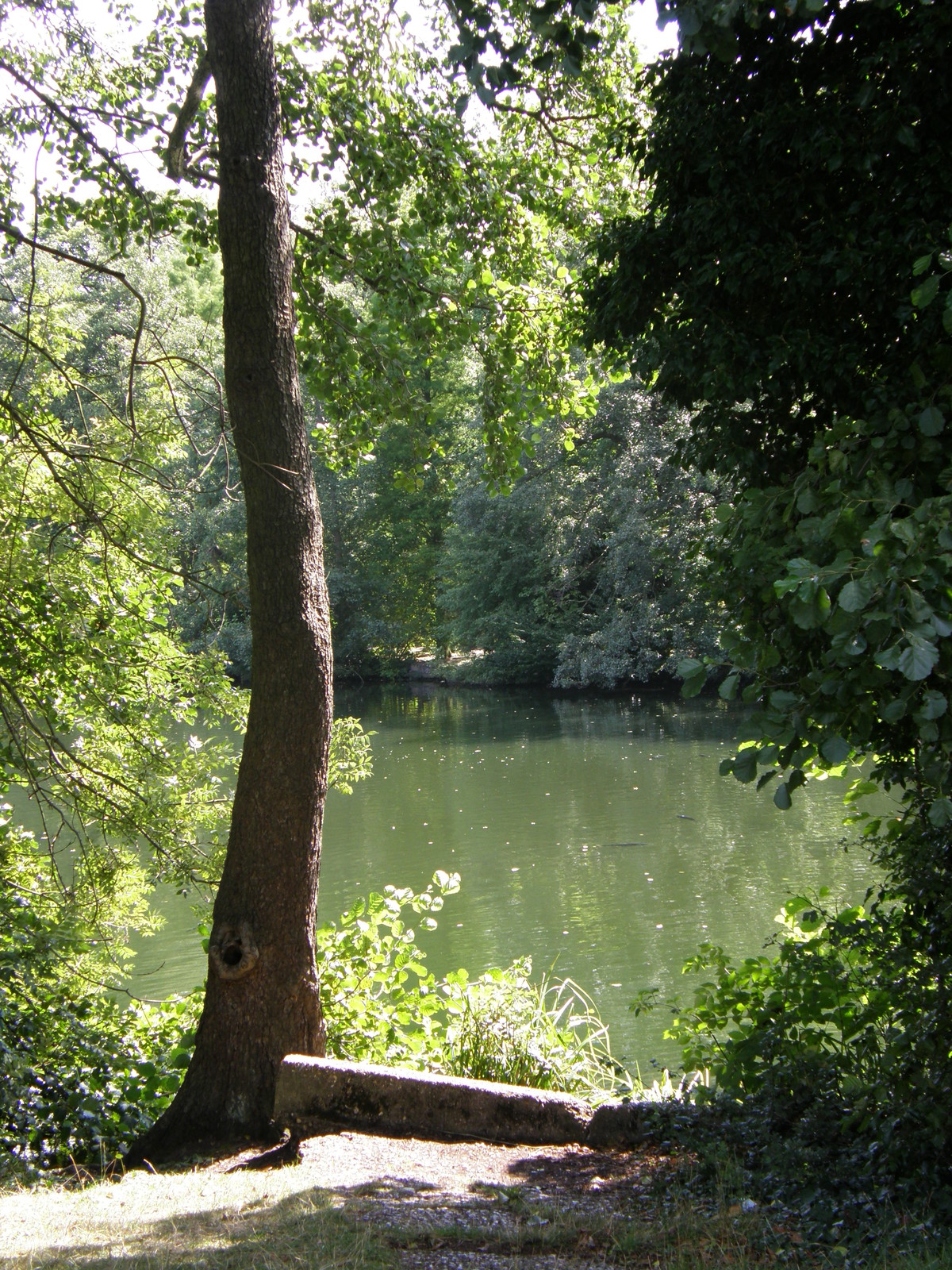 Image from Bounds Green to Cockfosters