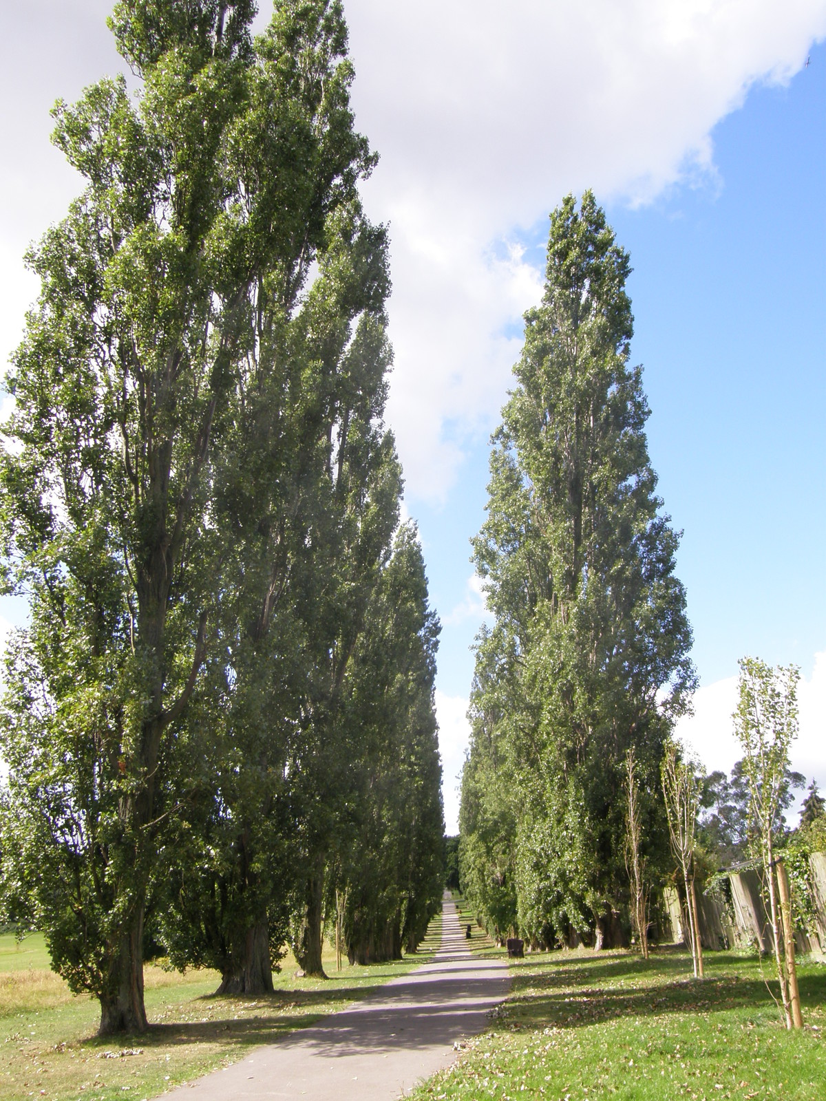 Image from Bounds Green to Cockfosters