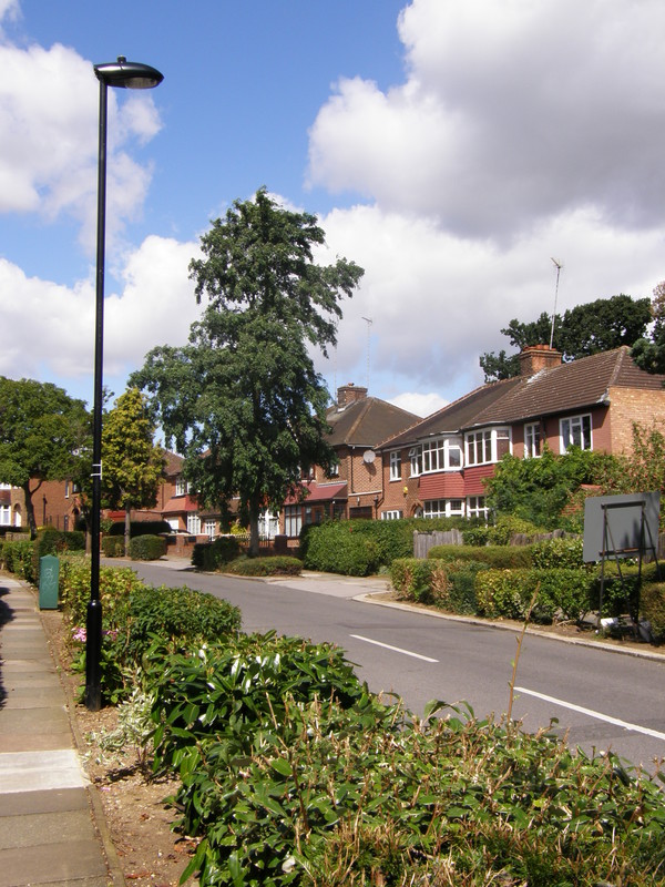 The lovely green suburbs of Oakwood Park Road